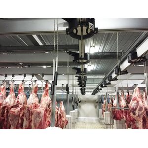 Industrial meat rail, Tonon S.r.l., Machinery, Agriculture Machinery & Equipment, euroPlux.com